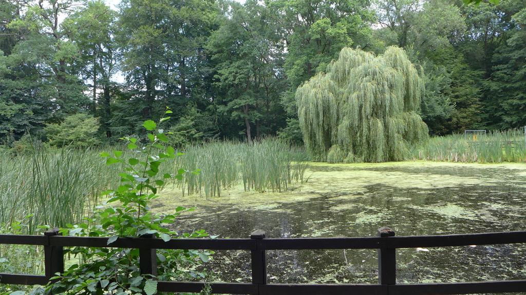 Ferienhaus Natura 네우루핀 객실 사진